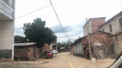 张玉环清白归来之前：一个儿子、父亲、丈夫缺