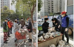 武汉小事｜“因为鲜活的你我，日子才闪闪发光