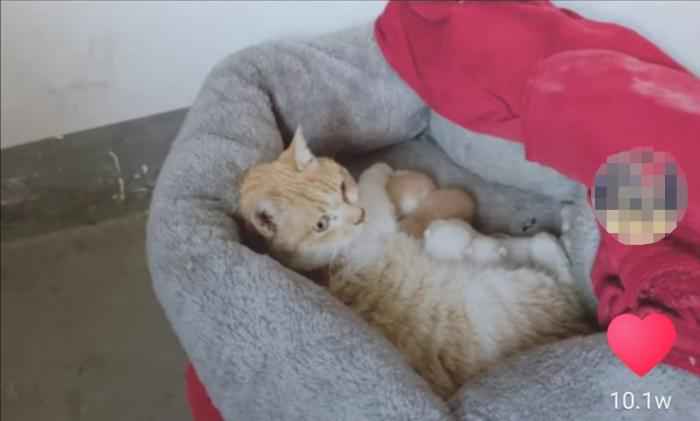  武汉百步亭这家“月子中心”火了 网友：太暖心！